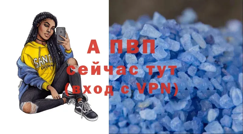 A-PVP СК КРИС  Курск 