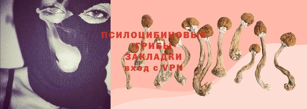 соль ск Костерёво