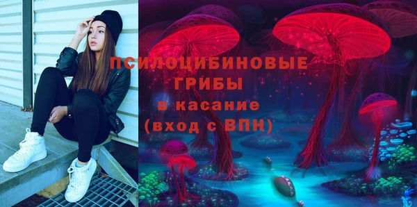 mdpv Козловка
