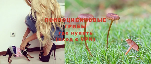 mdpv Козловка