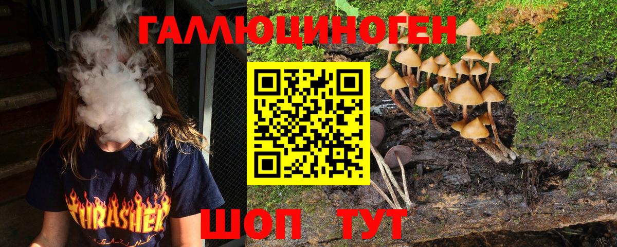 Псилоцибиновые грибы Magic Shrooms  Курск 