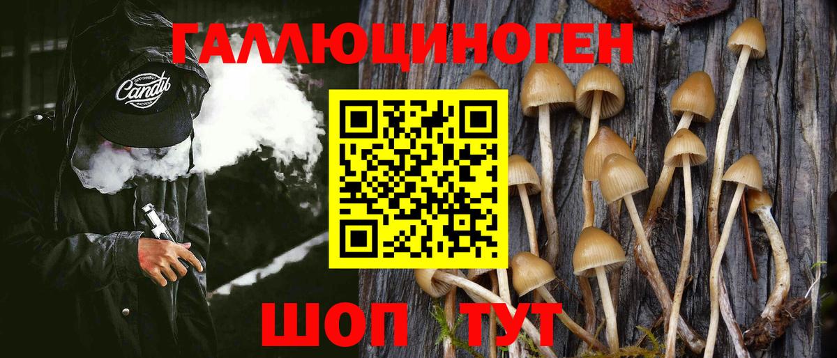 Псилоцибиновые грибы мухоморы Курск