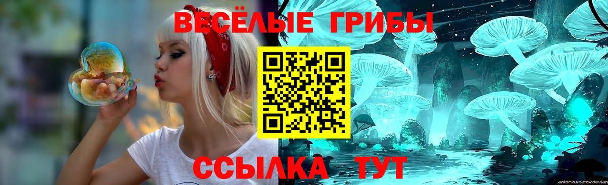 Галлюциногенные грибы MAGIC MUSHROOMS Курск