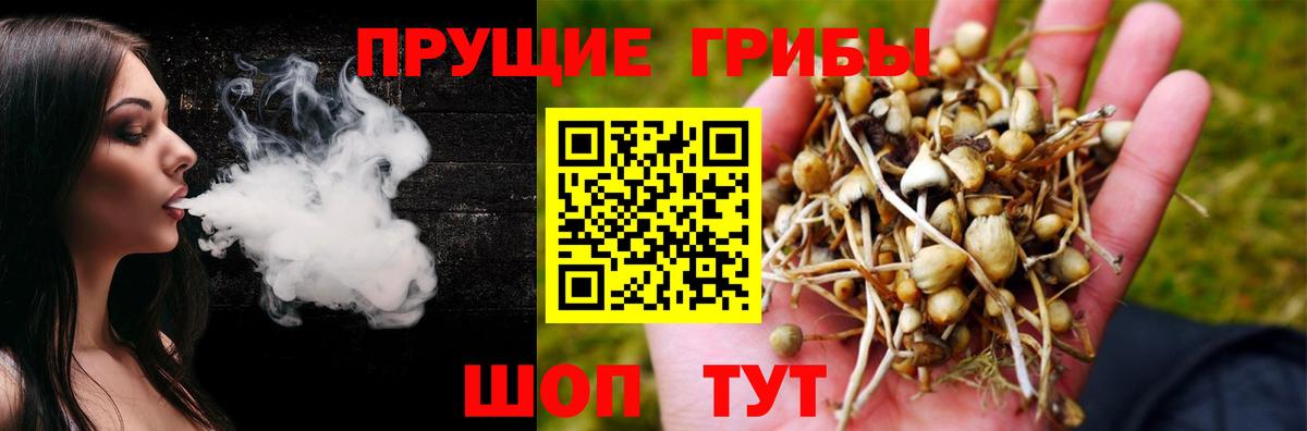 Галлюциногенные грибы ЛСД  Вход с VPN  Курск 